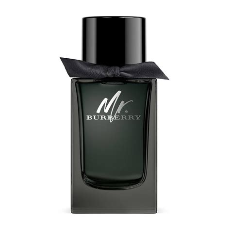 mr burberry profumo uomo ingredienti|burberry fragrance for men.